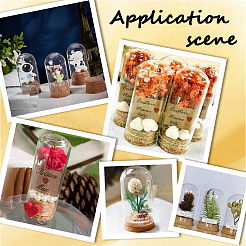 15 шт. 5-х стилистическая прозрачная стеклянная крышка-купол&nbsp;CON-SC0001-02