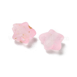 Прозрачные акриловые бусины градиентного цвета&nbsp;X1-OACR-M023-04J