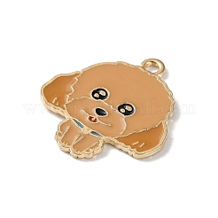 Подвески из эмали и сплава&nbsp;FIND-I047-01KCG-02