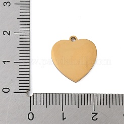 Подвески из нержавеющей стали 304 с эмалью&nbsp;STAS-K312-07E-G