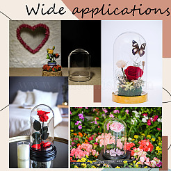 Стеклянный купол&nbsp;AJEW-CP0005-61