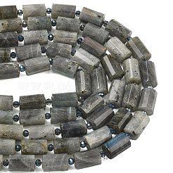 Природные лабрадорита бисер нитей&nbsp;G-G453-E10-10x14mm