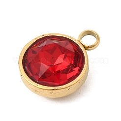 12 шт. подвеска из нержавеющей стали 304 с изображением камней по знаку зодиака.&nbsp;STAS-K239-01G-A